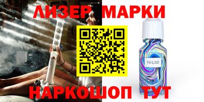 шишки Аргун