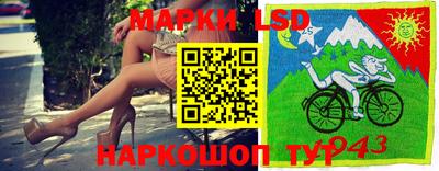 шишки Аргун
