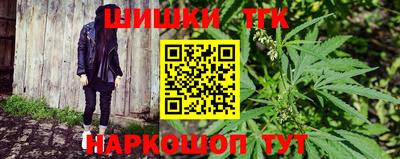 шишки Аргун