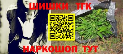 шишки Аргун