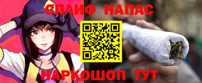шишки Аргун
