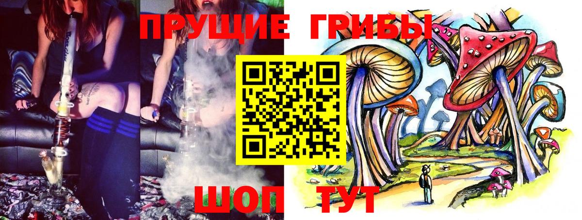 Псилоцибиновые грибы прущие грибы Асино