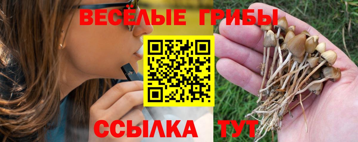 Галлюциногенные грибы Magic Shrooms  Вход с VPN  Псилоцибиновые грибы мицелий  Асино 